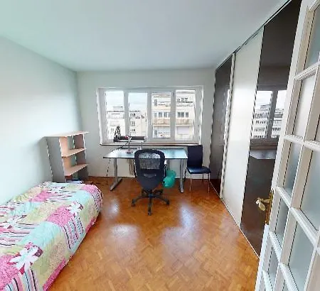 Apartment T3 Tout Confort,gare,tram,tout Commodite . Strasbourg